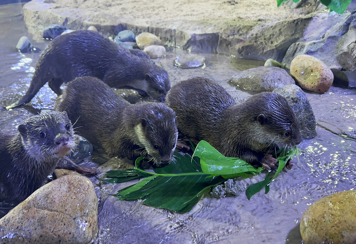 SEA LIFE BUSAN AQUARIUM