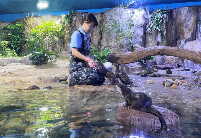 SEA LIFE BUSAN AQUARIUM